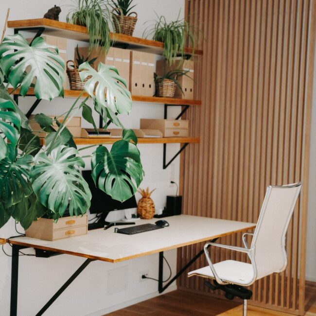 Arbeitsplatz mit 3 Regalen aus Holz, weissem Tisch und Stuhl umgeben von Pflanzen
